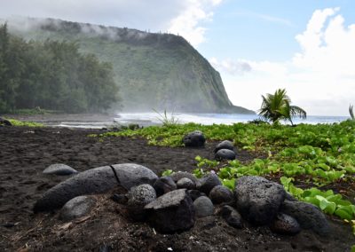 Waipio Valley