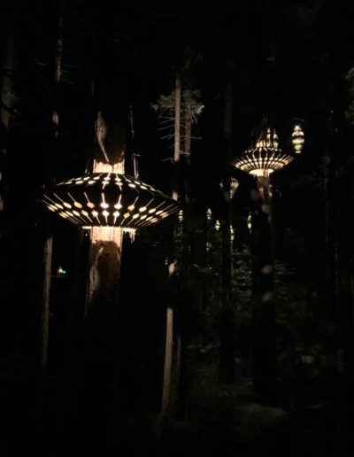 Lanterns at Redwoods Treewalk