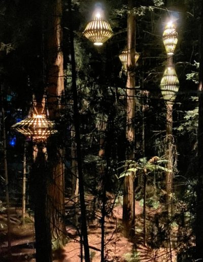 Lanterns at Redwoods Treewalk