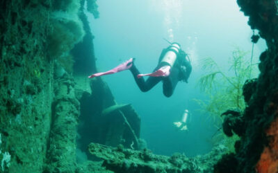 Facing Fears Deep-Sea Diving in the Philippines